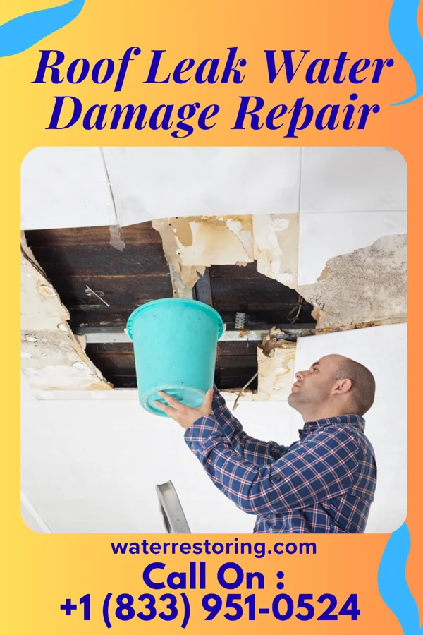 Roof Leak Water Damage Repair in Merkel, TX